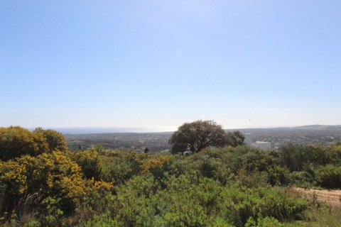 Land plot for sale in Sotogrande, Cadiz, Spain 1314 sq.m. No. 53401 - photo 14