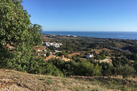 Land plot for sale in Marbella, Malaga, Spain No. 53445 - photo 4