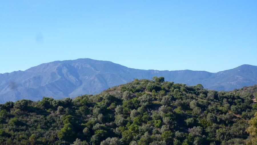 Land plot in Estepona, Malaga, Spain No. 53397