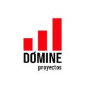 Proyectos Domine
