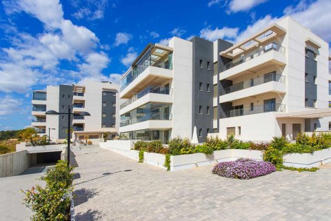 Apartment for sale in Villamartin, Alicante, Spain 3 bedrooms, 71 sq.m. No. 37924 - photo 22