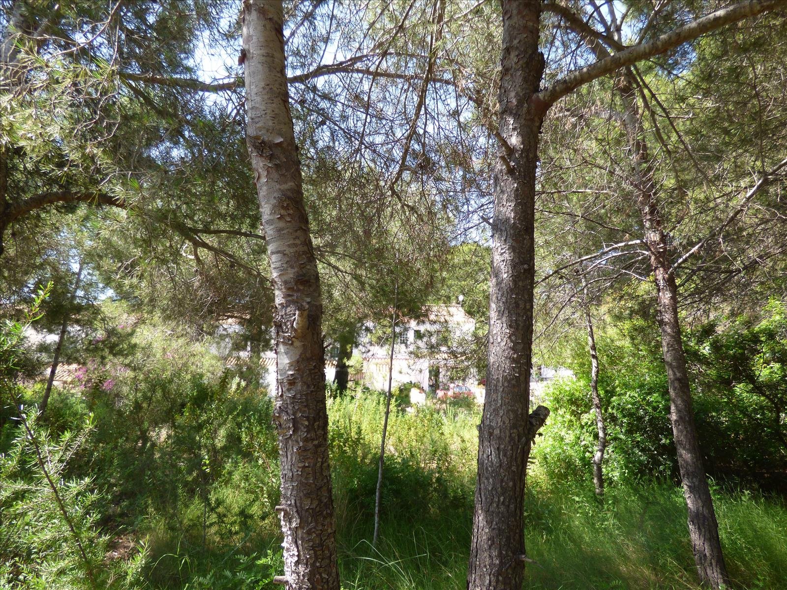 Działka w Benissa, Alicante, Hiszpania nr 54276