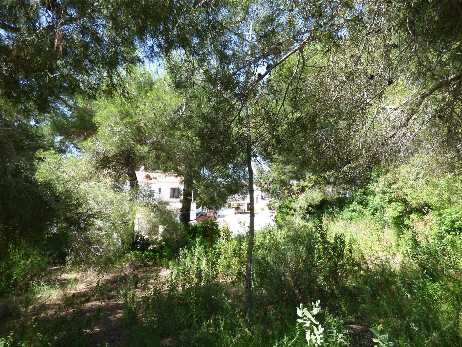 Działka w Benissa, Alicante, Hiszpania nr 54276