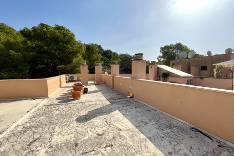 Penthouse for sale in Cala Mayor, Mallorca, Spain 2 bedrooms, 169 sq.m. No. 55110 - photo 10