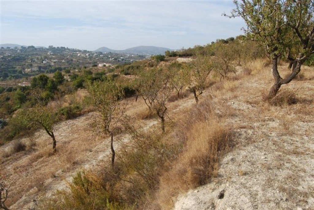 Działka w Benissa, Alicante, Hiszpania nr 54483