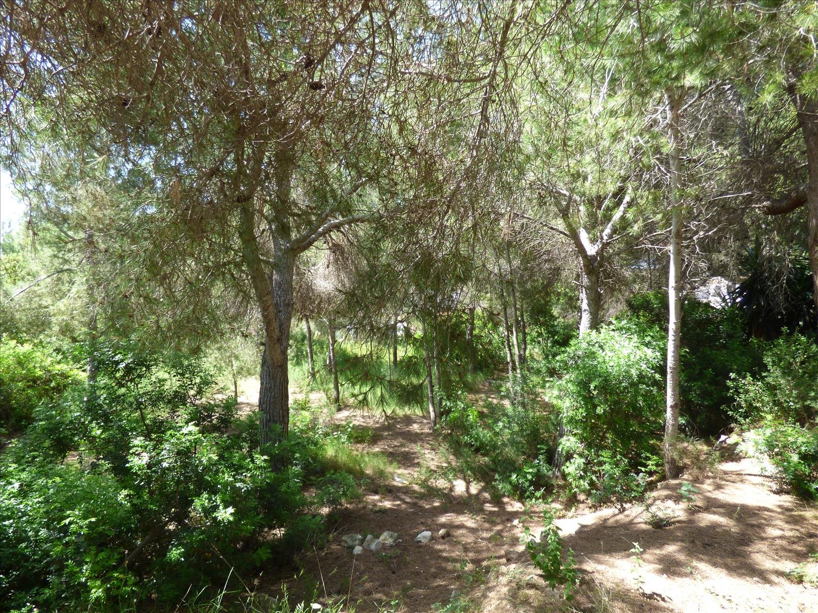 Działka w Benissa, Alicante, Hiszpania nr 54276
