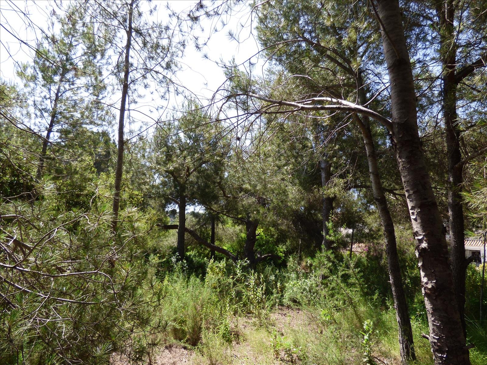 Działka w Benissa, Alicante, Hiszpania nr 54276