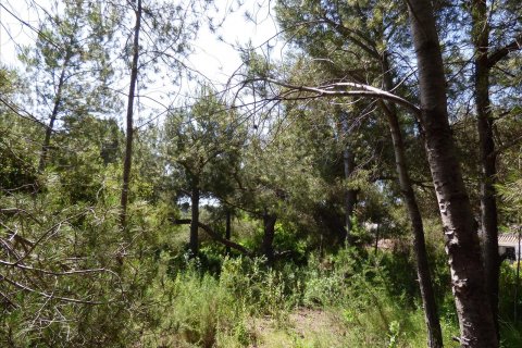 Land plot for sale Benissa, Alicante, Spain No. 54276 - photo 16