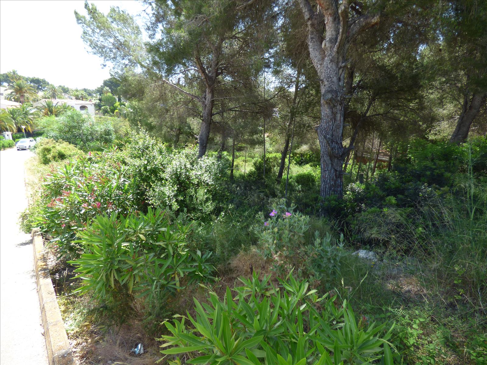 Działka w Benissa, Alicante, Hiszpania nr 54276