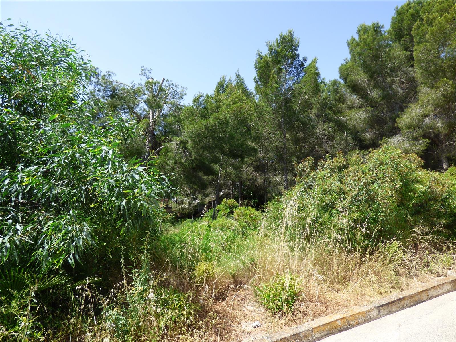 Działka w Benissa, Alicante, Hiszpania nr 54276