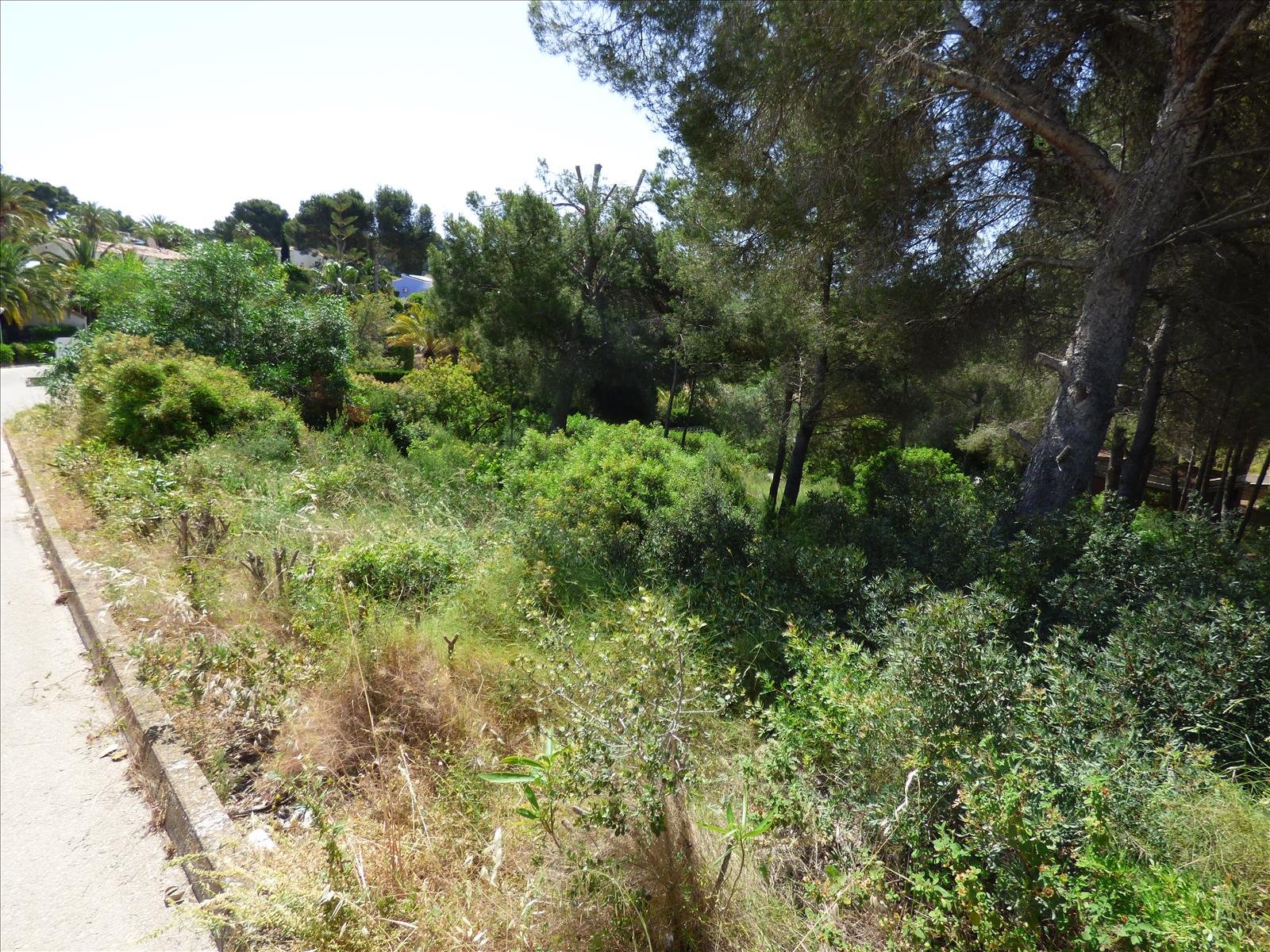 Działka w Benissa, Alicante, Hiszpania nr 54276