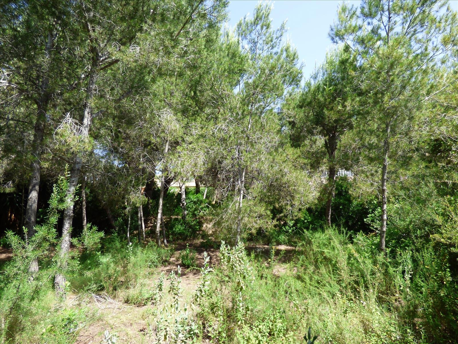 Działka w Benissa, Alicante, Hiszpania nr 54276