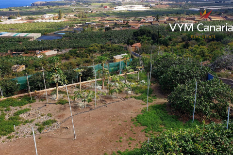 Land plot for sale in Buenavista del Norte, Tenerife, Spain No. 54880 - photo 14