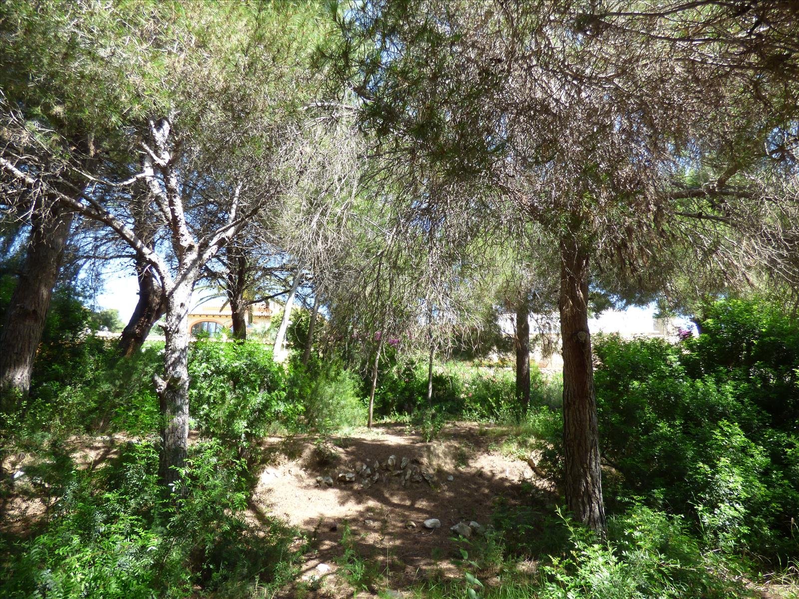 Działka w Benissa, Alicante, Hiszpania nr 54276
