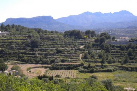 Land plot for sale in Benissa, Alicante, Spain No. 54483 - photo 2