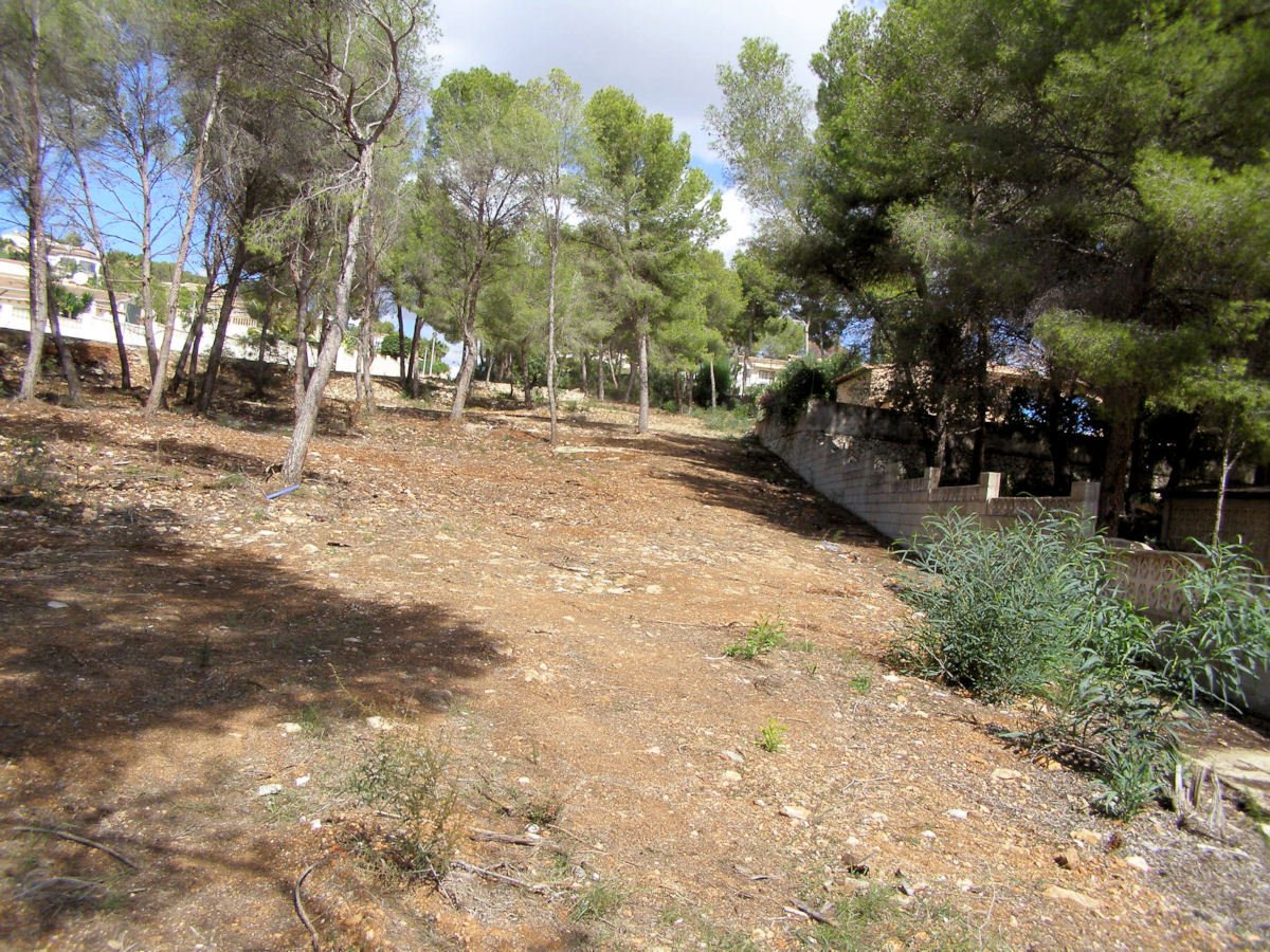 Land plot in Moraira, Alicante, Spain No. 54477