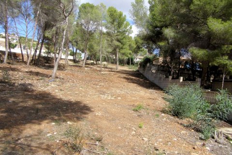 Land plot for sale in Moraira, Alicante, Spain No. 54477 - photo 2