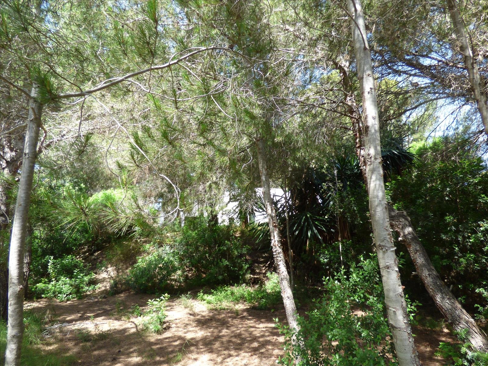 Działka w Benissa, Alicante, Hiszpania nr 54276