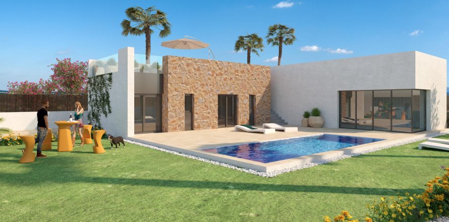 Villa in LIEGE Y LEUVEN, Algorfa, Alicante, Spa, 3 bedrooms, 119 sq.m. No. 56659