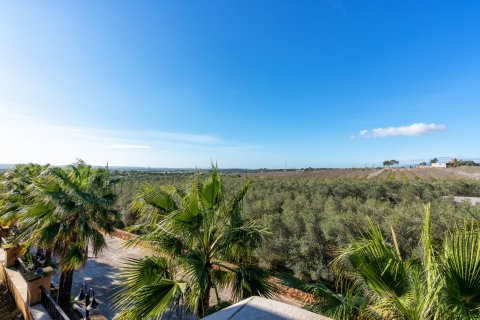 Finca for sale in Puntiro, Mallorca, Spain 6 bedrooms, 1846 sq.m. No. 56612 - photo 16