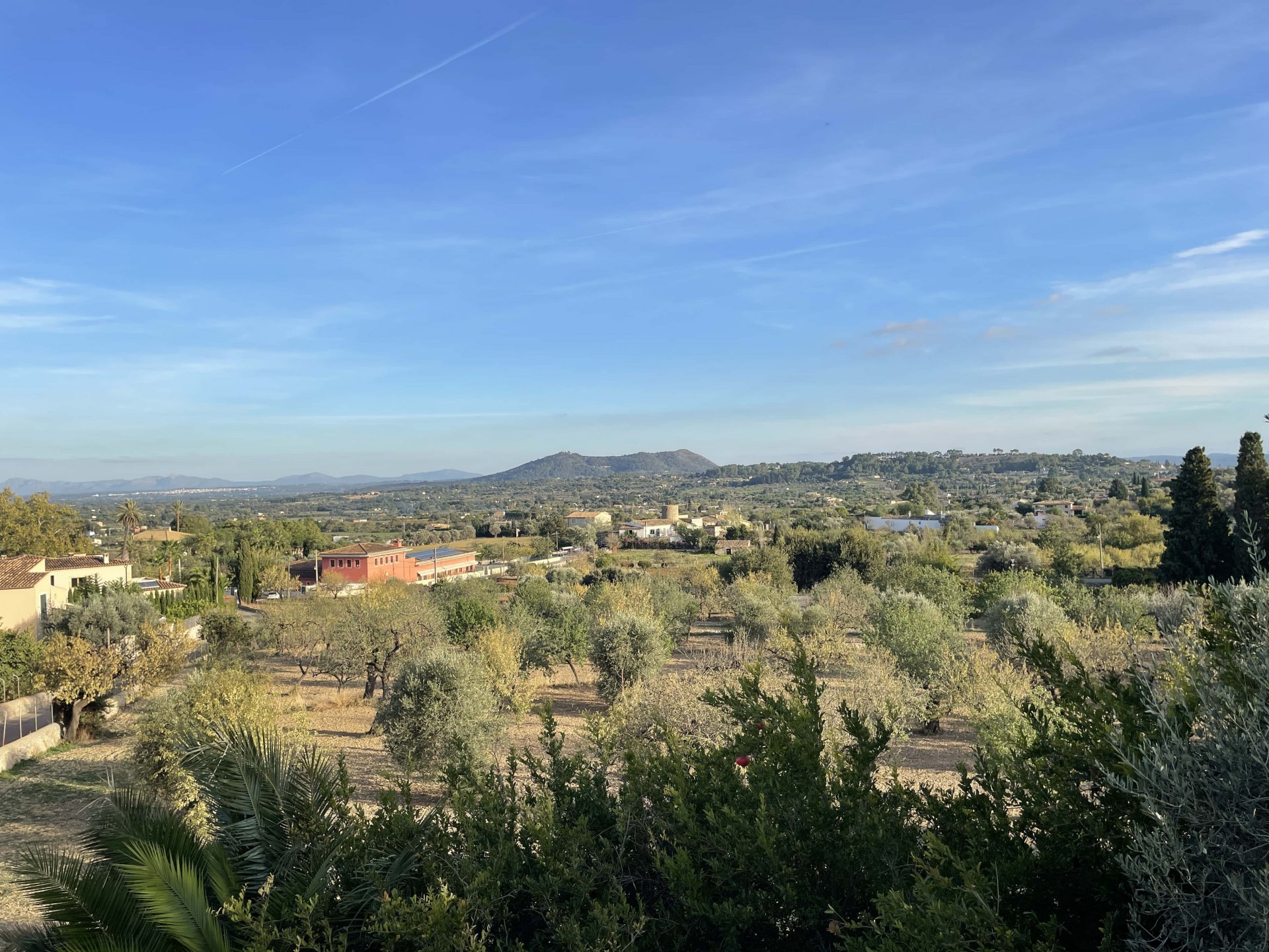 Kaupunkipientalo Selva, Mallorca, Espanja 4 makuuhuonetta, 250 m2 No. 56609