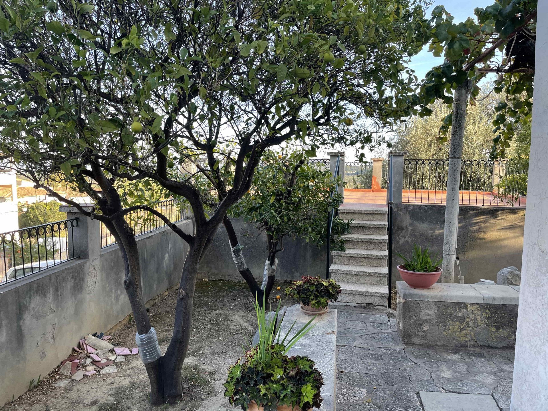 Kaupunkipientalo Selva, Mallorca, Espanja 4 makuuhuonetta, 250 m2 No. 56609