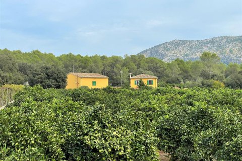 Finca for sale in Sa Pobla, Mallorca, Spain 4 bedrooms, 164 sq.m. No. 56688 - photo 21