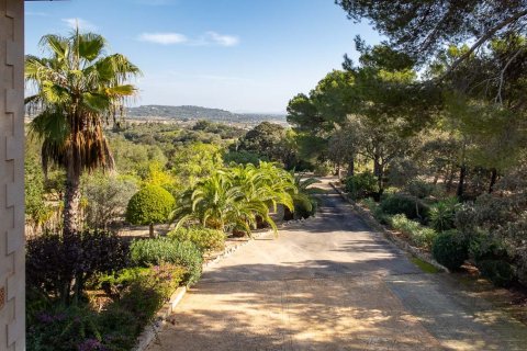 Finca for sale in Porreres, Mallorca, Spain 4 bedrooms, 634 sq.m. No. 55904 - photo 2