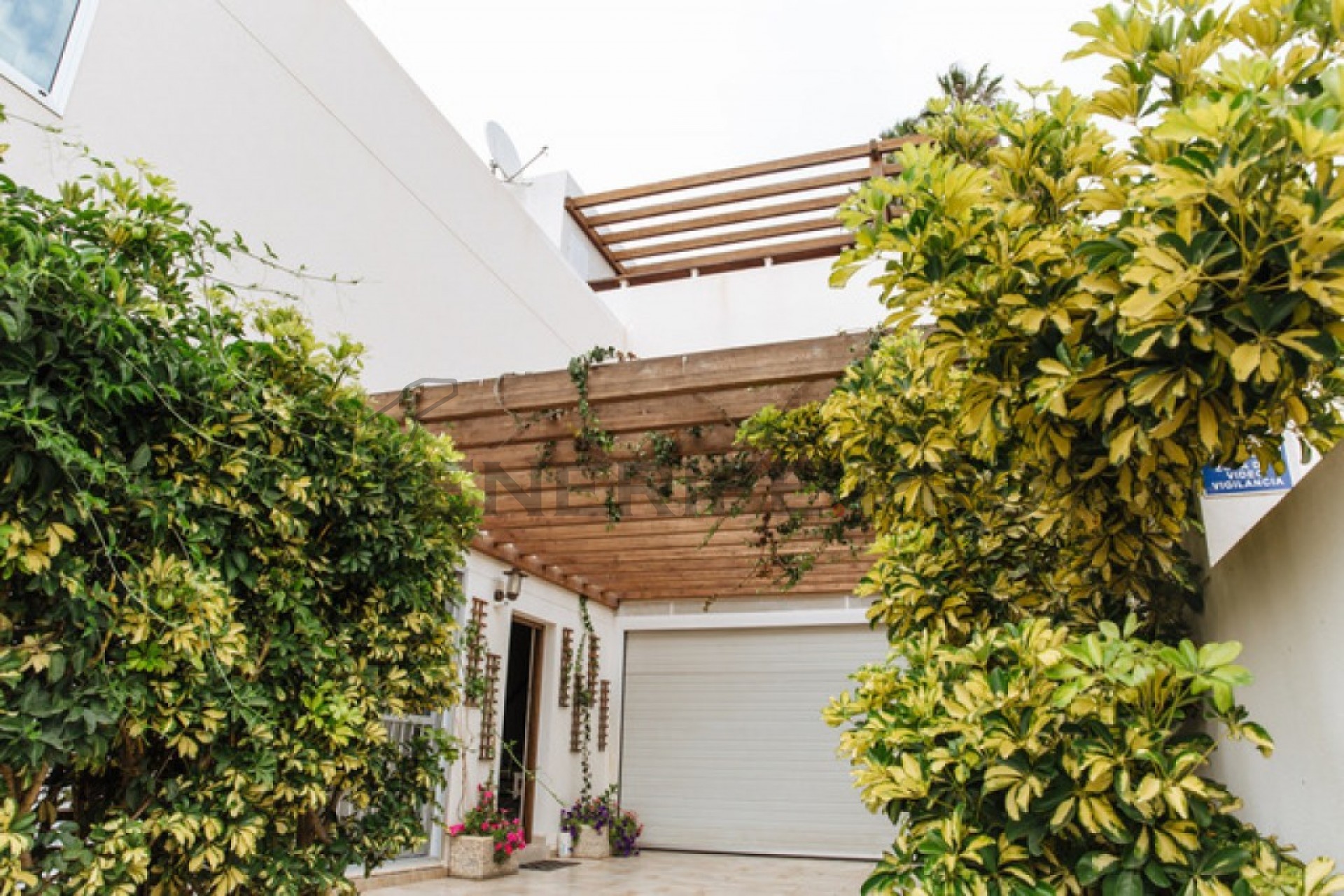Villa Chayofa, Tenerife, Spānijā 3 istabas,  Nr. 57824