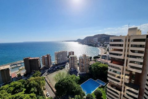 Apartment for sale in Alicante, Spain 3 bedrooms, 160 sq.m. No. 59346 - photo 3