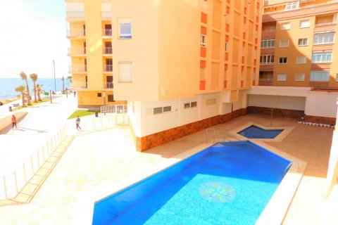 Apartment for sale in Torrevieja, Alicante, Spain 3 bedrooms,  No. 58438 - photo 2