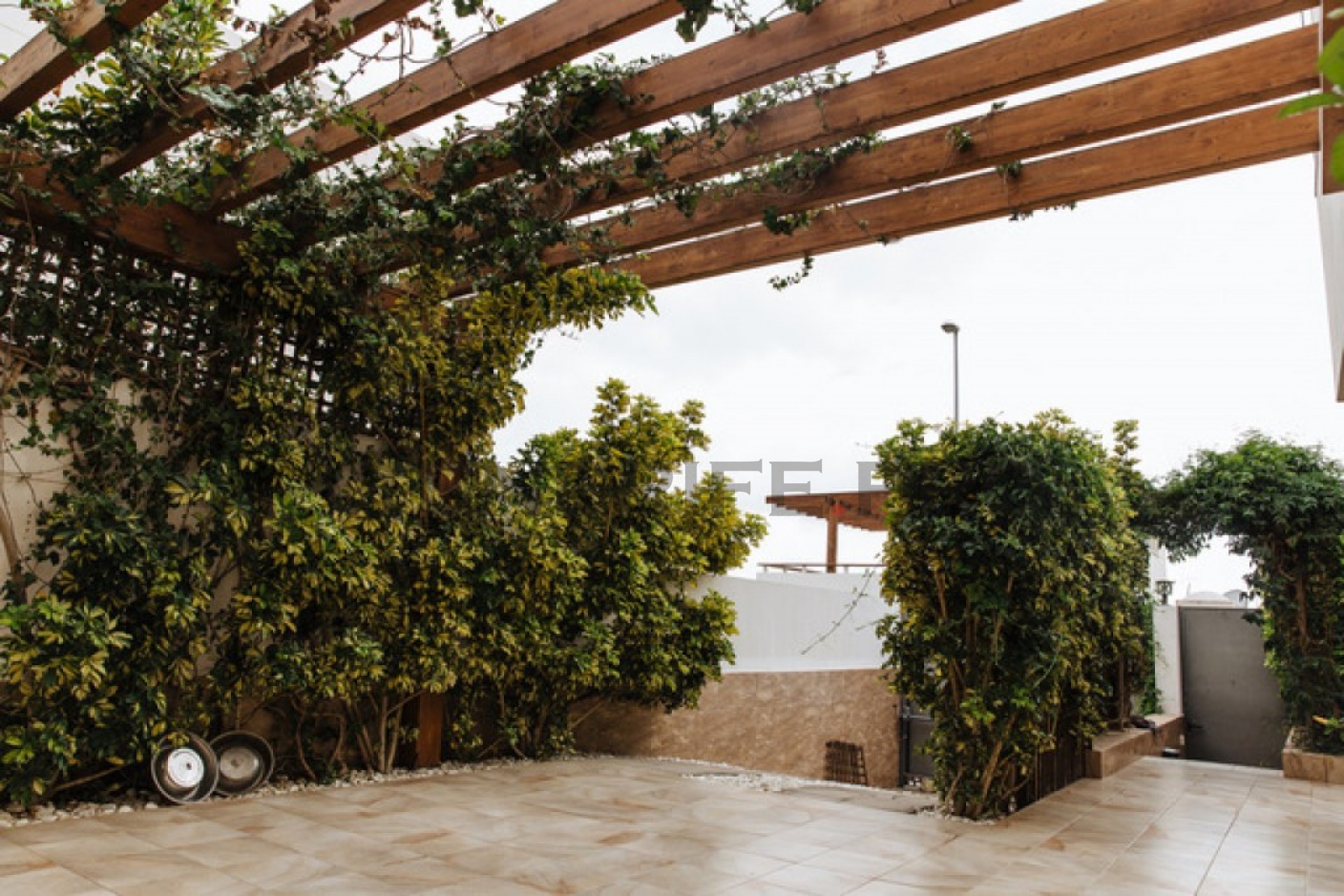Villa Chayofa, Tenerife, Spānijā 3 istabas,  Nr. 57824