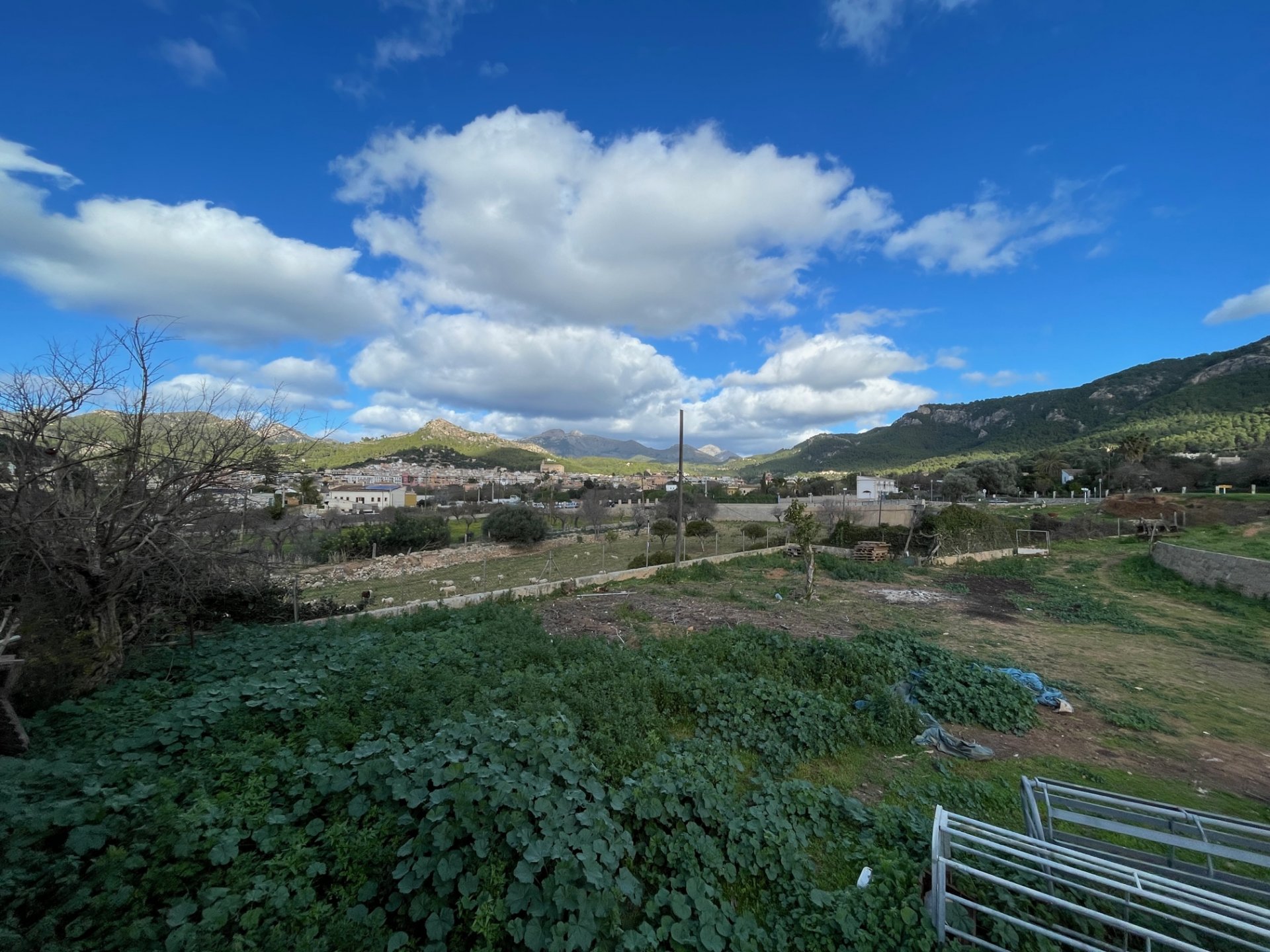 Finca in Andratx, Mallorca, Spain 4 bedrooms, 259 sq.m. No. 60573