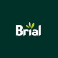 Brial Construccion