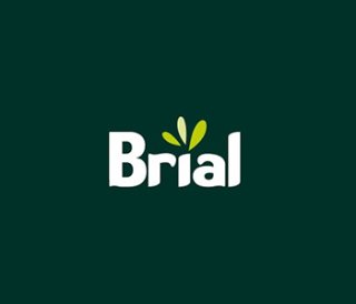 Brial Construccion