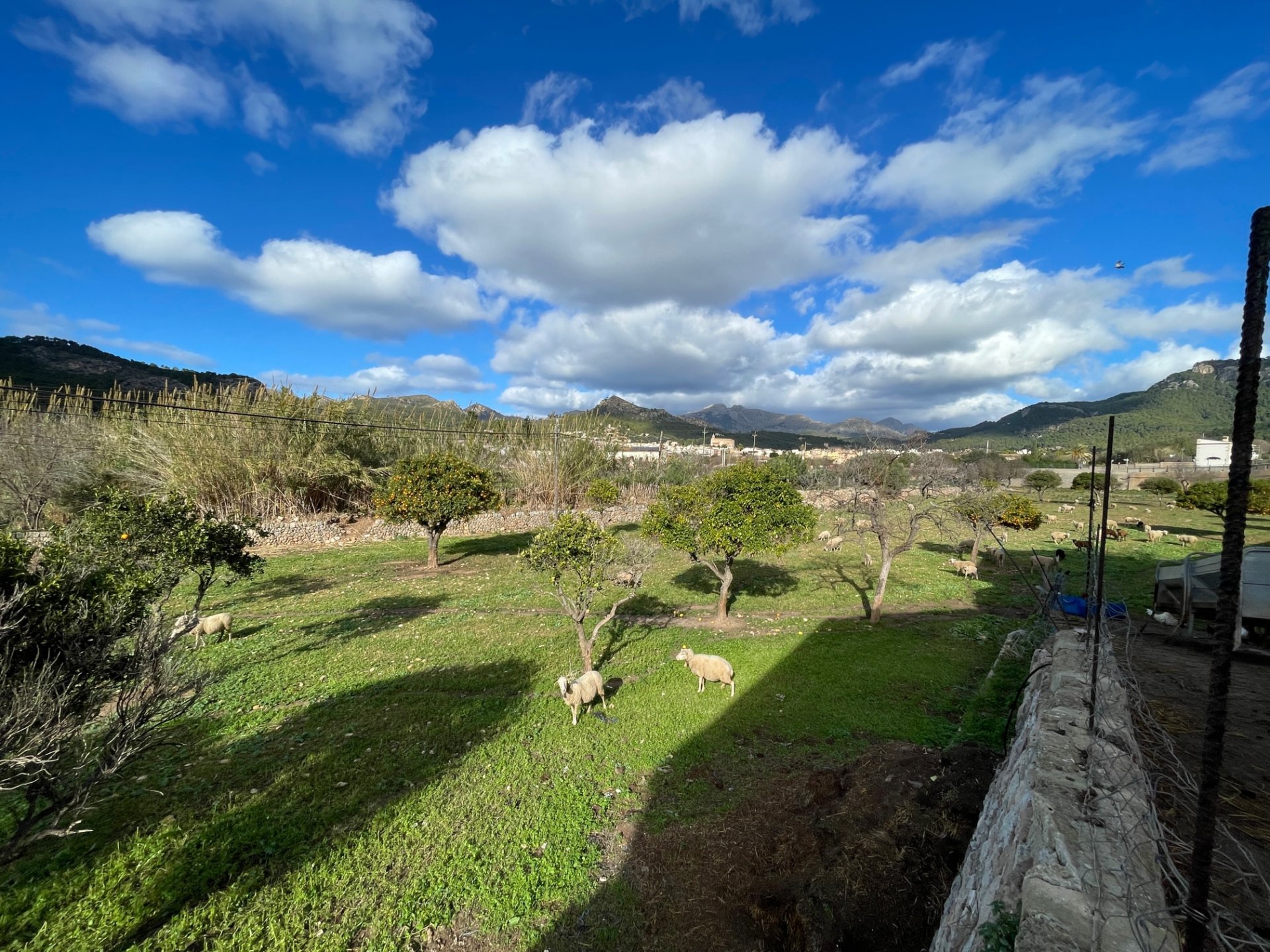 Finca in Andratx, Mallorca, Spain 4 bedrooms, 259 sq.m. No. 60573
