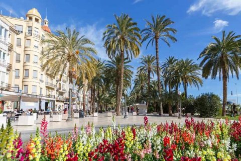 Alicante's leadership in the Spanish real estate market and the most popular areas of the country among buyers