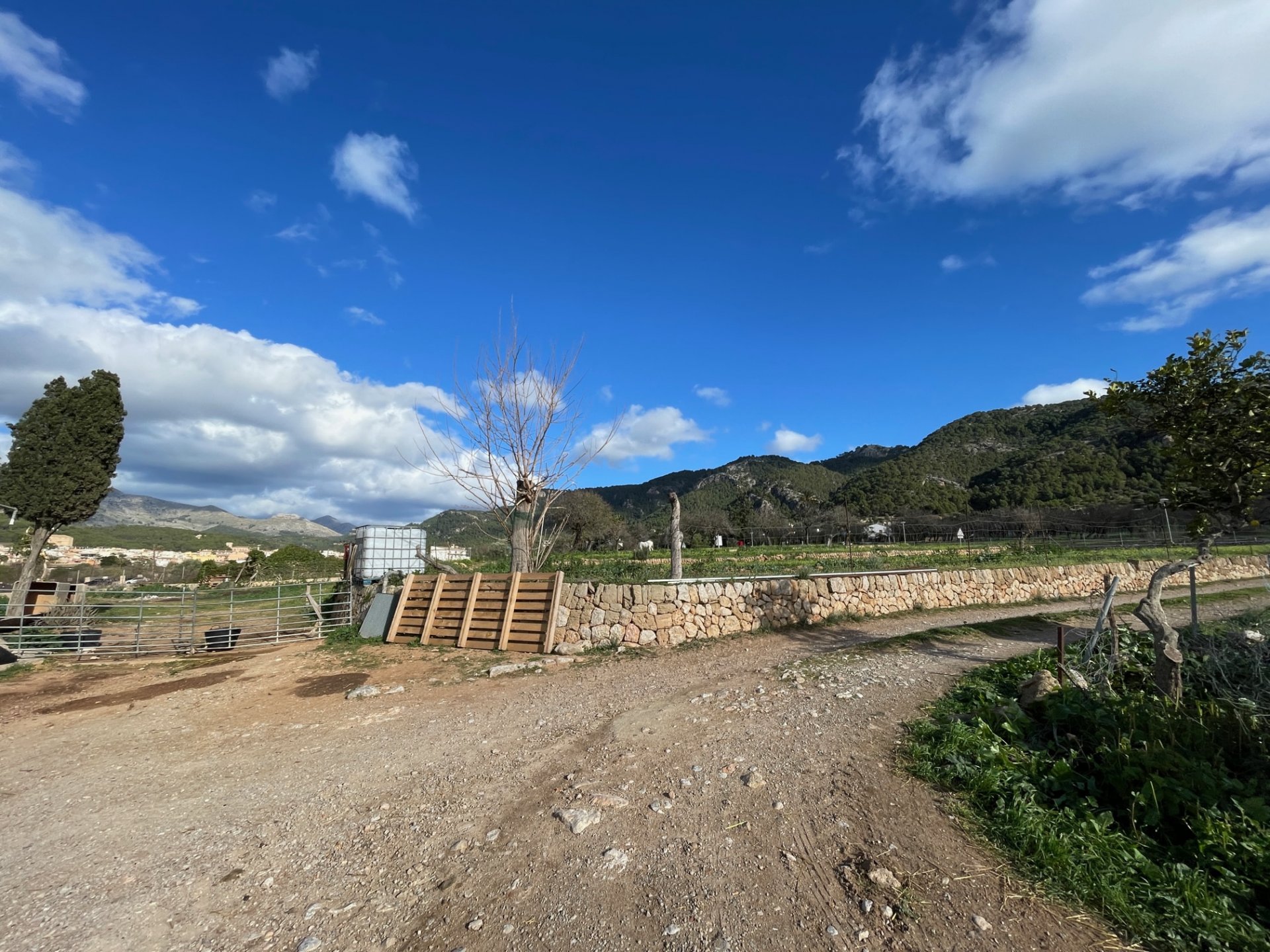 Finca in Andratx, Mallorca, Spain 4 bedrooms, 259 sq.m. No. 60573