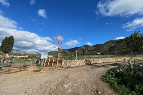 Finca for sale in Andratx, Mallorca, Spain 4 bedrooms, 259 sq.m. No. 60573 - photo 5