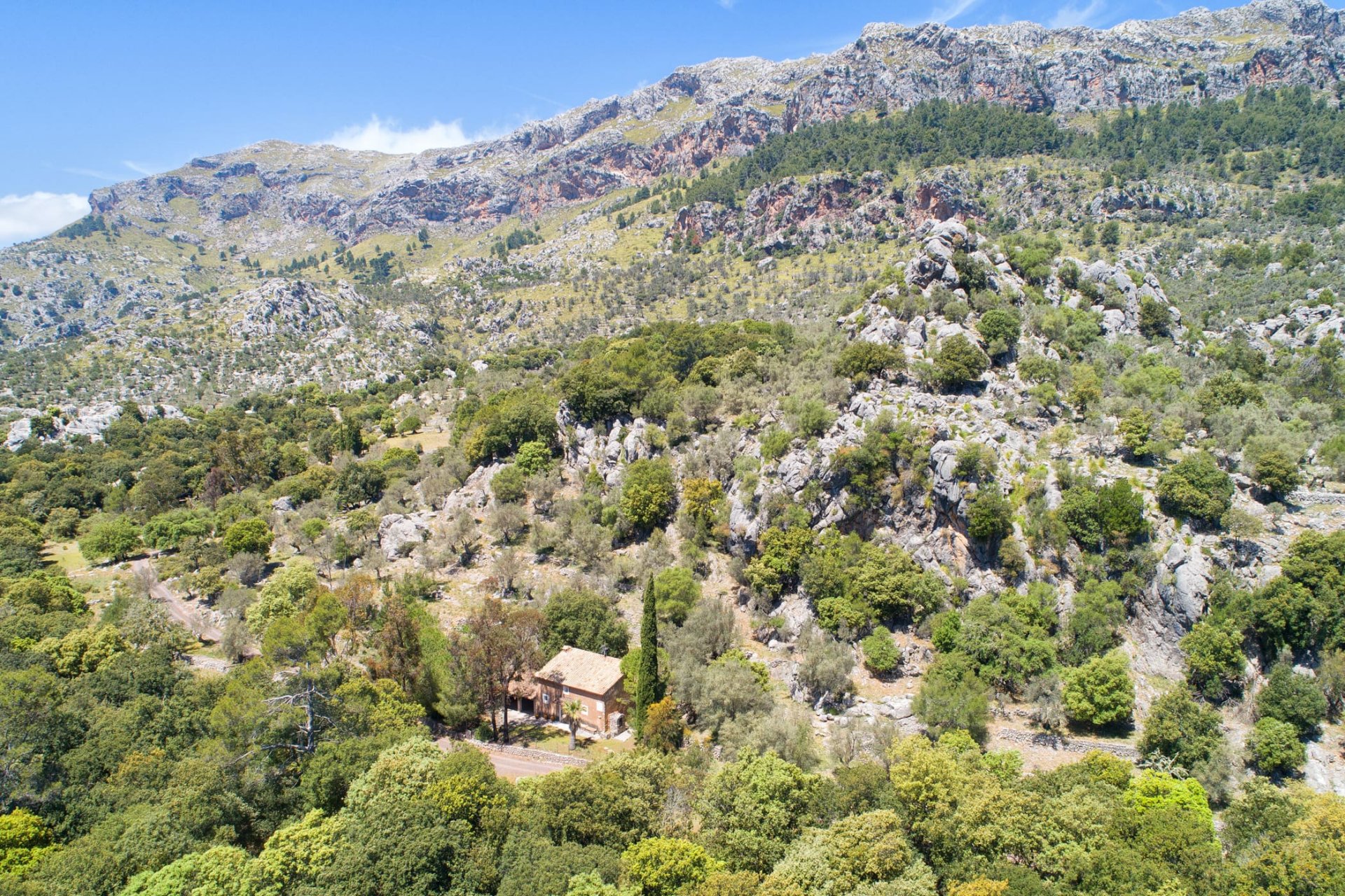 Finca Escorca, Mallorca, Espanja 12 makuuhuonetta, 1522 m2 No. 32905