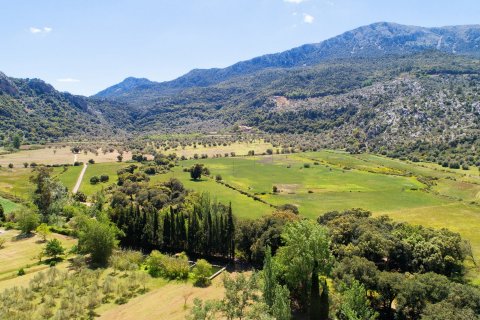 Finca for sale in Escorca, Mallorca, Spain 12 bedrooms, 1522 sq.m. No. 32905 - photo 11