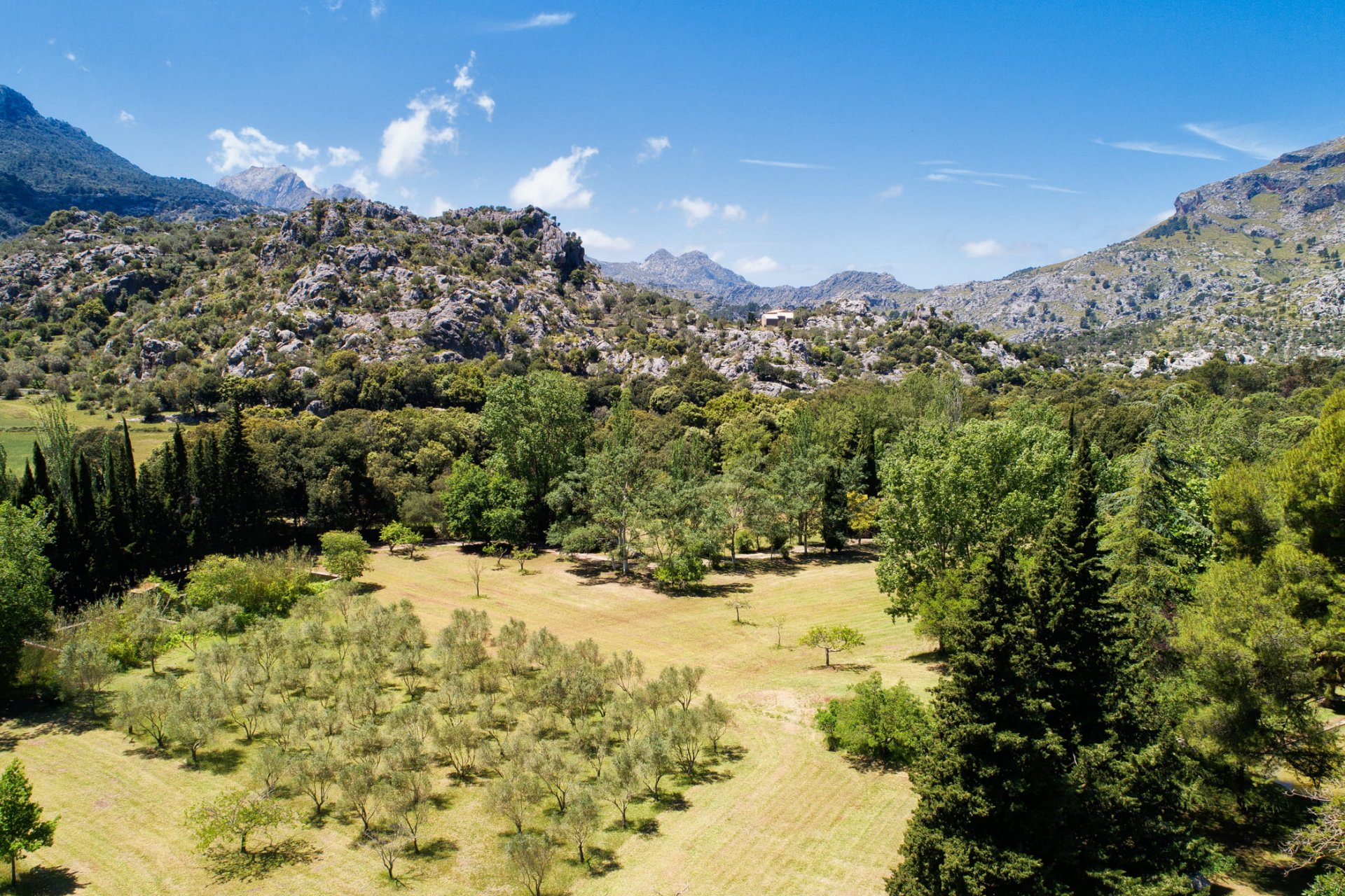 Finca Escorca, Mallorca, Espanja 12 makuuhuonetta, 1522 m2 No. 32905