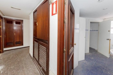 Apartment for sale in Cadiz, Spain 6 bedrooms, 304 sq.m. No. 60939 - photo 18