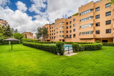Apartment for rent in Madrid, Spain 3 bedrooms, 180 sq.m. No. 61695 - photo 15