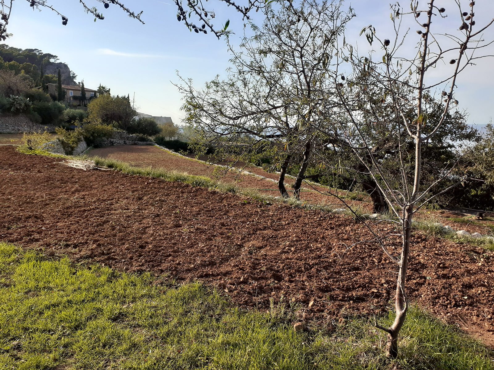 Finca in Banyalbufar, Mallorca, Spanien 4 Schlafzimmer, 290 m2 Nr. 32599