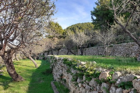 Finca for sale in Banyalbufar, Mallorca, Spain 4 bedrooms, 290 sq.m. No. 32599 - photo 9