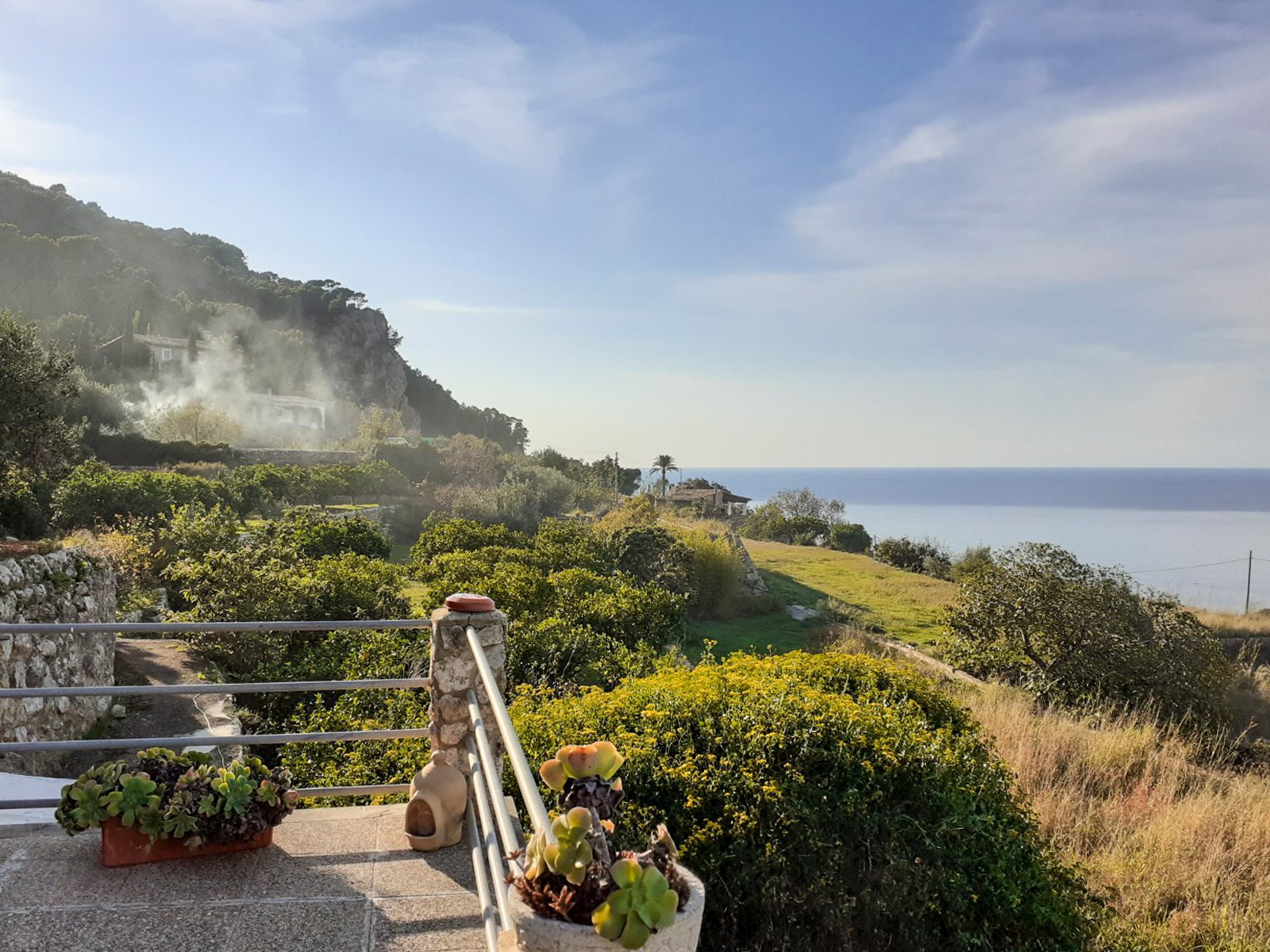 Finca in Banyalbufar, Mallorca, Spanien 4 Schlafzimmer, 290 m2 Nr. 32599