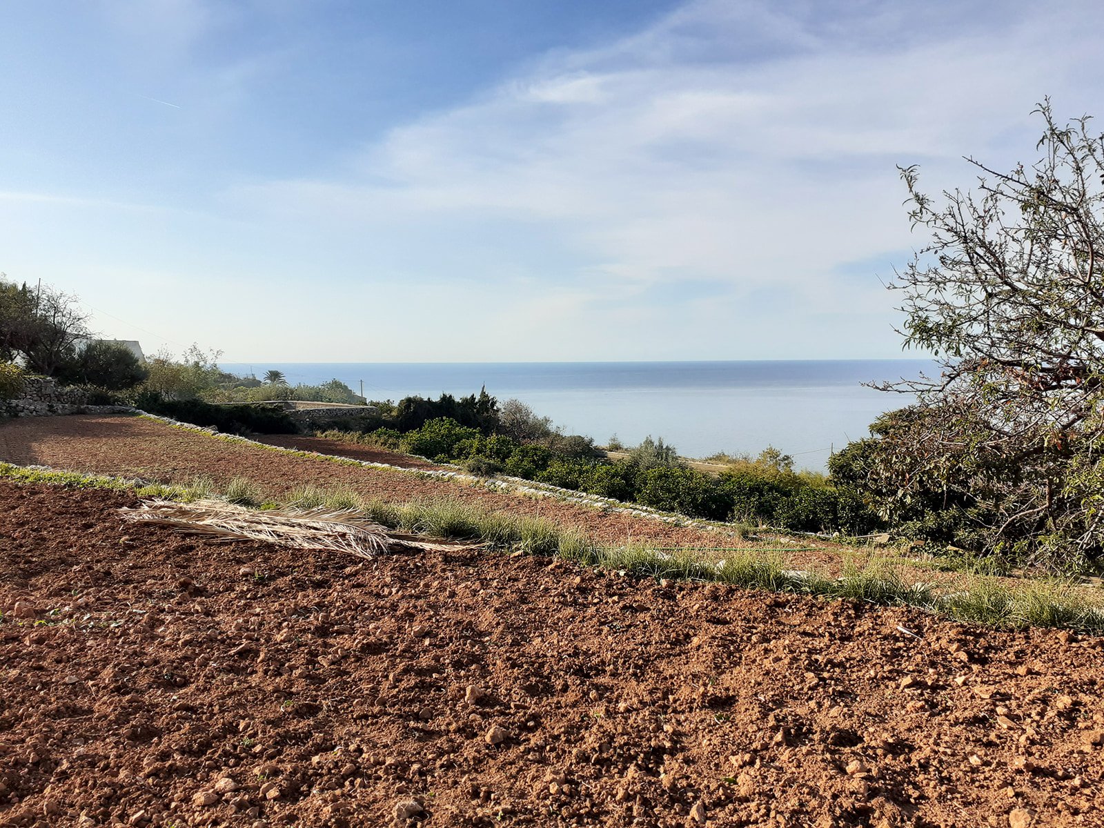 Finca in Banyalbufar, Mallorca, Spanien 4 Schlafzimmer, 290 m2 Nr. 32599