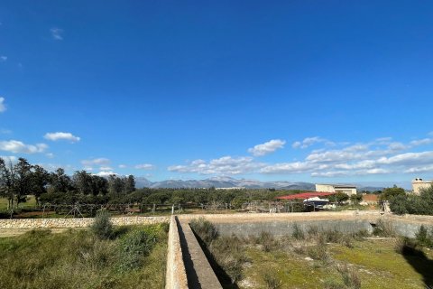 Land plot for sale in Sa Pobla, Mallorca, Spain 1 bedroom, 30051 sq.m. No. 62588 - photo 4