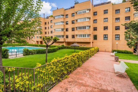 Apartment for rent in Madrid, Spain 3 bedrooms, 180 sq.m. No. 61695 - photo 10